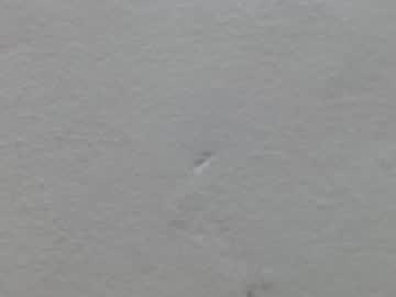 gimena_ass