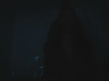 pnishermaster